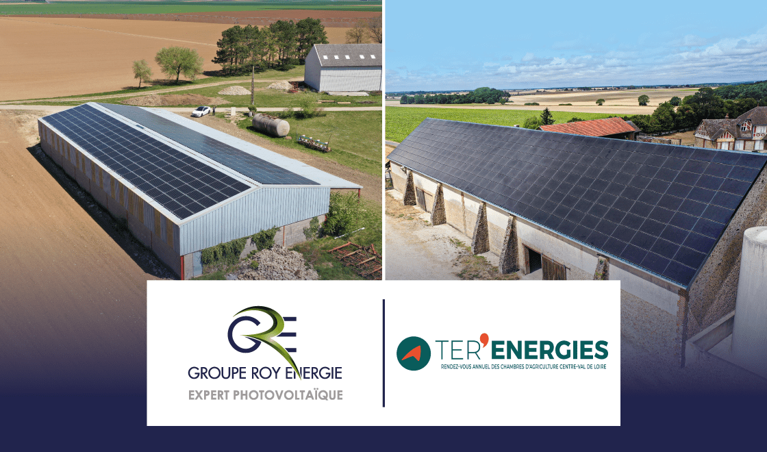 Centrale photovoltaïque au sol ce que vous devez savoir Groupe Roy